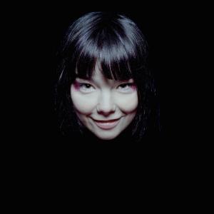 bjork03.jpg