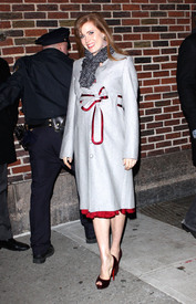 Preppie_-_Amy_Adams_at_the_Late_Show_with_David_Letterman_-_Jan._5_2010_8684.jpg