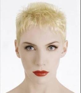 Annie-Lennox-283x324-8kb-media-2723-media-153481-1255883708.jpg