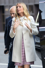 gpaltrow130416BZNimage4.jpg