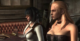 trish_and_lady_dmc4_by_douser.jpg