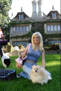 81547_Holly_Madison_Animal_Fair_Media_Portrait_001_123_514lo.jpg