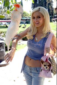 81575_Holly_Madison_Animal_Fair_Media_Portrait_003_123_582lo.jpg