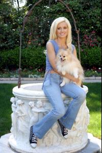 81602_Holly_Madison_Animal_Fair_Media_Portrait_005_123_80lo.jpg