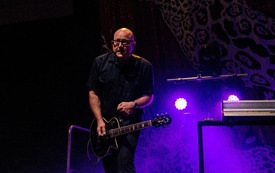 garbage190616BZNimage8.jpg