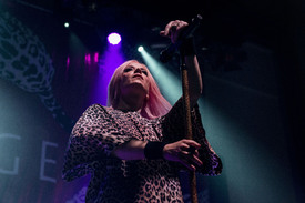 garbage190616BZNimage20.jpg