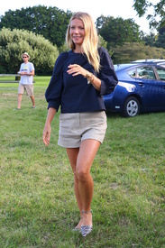 gpaltrow140816BZNimage15.jpg