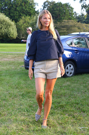 gpaltrow140816BZNimage18.jpg