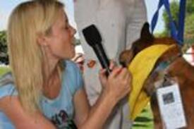 Amy_Smart_BestFriends_Pet_Adoption_Festival_060406_12.jpg