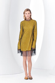 MarquesAlmeida-Long-Sleeve-Mesh-Minidress.jpg