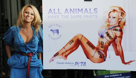 celebrity_paradise.com_TheElder_PamelaAnderson2010_10_24_UnveilsNewPETAAdinLondon14.jpg