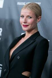 gpaltrow291014BZNImage017.jpg