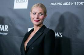 gpaltrow291014BZNImage019.jpg