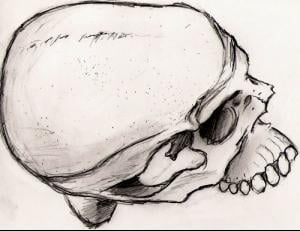 skull.jpg