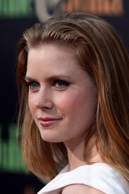 Amy_Adams_Premiere_of_Julie_9_Julia_270709-ADDS_025.jpg