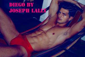 diego-lally-homotography-1.jpg