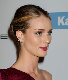 rosiehw091113BZNimage2.jpg