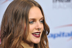 tovelo111215BZNimage4.jpg