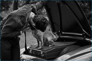 David-Gandy-2016-Cover-Photo-Shoot-Telegraph-Goodwood-005-800x534.jpg