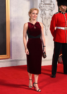 gilliana021116ZNimage14.jpg