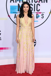 57452817_camilamendes_45thamericanmusicawards-7.jpg