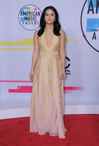 57452821_camilamendes_45thamericanmusicawards-11.jpg