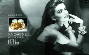 Skrebneski_Estee_Lauder_Knowing_1990.thumb.png.5dc05f41a2fc837abcfba76ee580a5f0.png