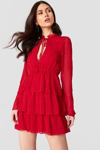 nakd_linn_ahlborg_swiss_dot_dress_1561-000005-0004_01j.jpg