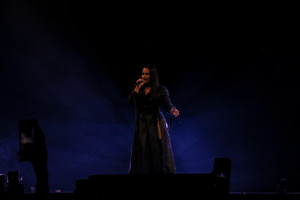 picturepub-demi-lovato-069.jpg