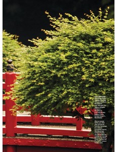 Grazia457-page-007.jpg