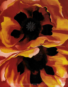 Petali_Ferri_Vogue_Italia_May_1989_01.thumb.png.549ea991d2850c979036098d86c8cb4b.png