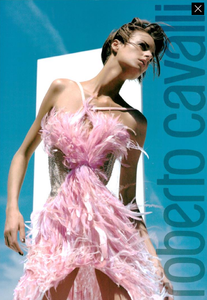 Testino_Roberto_Cavalli_Fall_Winter_03_04_03.thumb.png.235a2c4380a20d6a4a73a5c58d7996f7.png