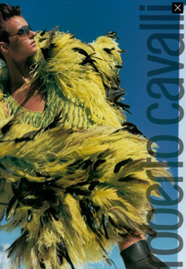 Testino_Roberto_Cavalli_Fall_Winter_03_04_07.thumb.png.5e3192a2a620511ba6704ee6ad12cb32.png