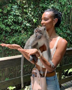 jastookes_69901429_380647126209948_5950009411430833914_n.jpg