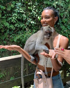 jastookes_71535197_536684837090397_54505477610393647_n.jpg