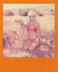 01_polaroidpack_singita.jpg