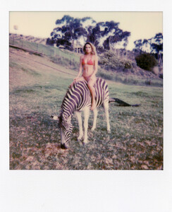 14_polaroidpack_singita.jpg