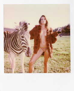 19_polaroidpack_singita.jpg