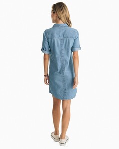 candice-chambray-shirt-dress-light-indigo-back_1024x1024.jpg