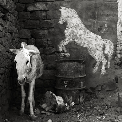 glamour bitch's avatar