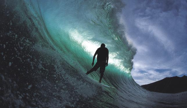 LouIslandFerry's avatar