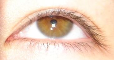 That weirdo who hides in the back row's avatar