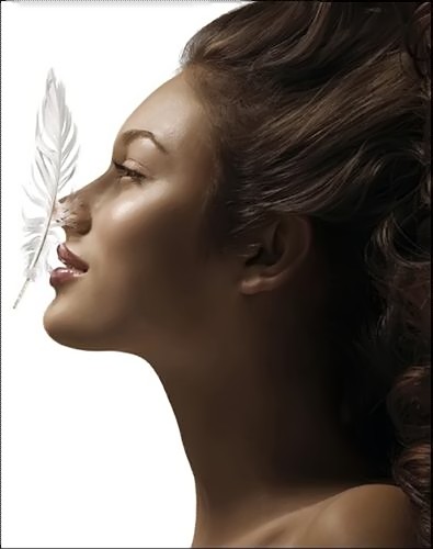 nola-native's avatar