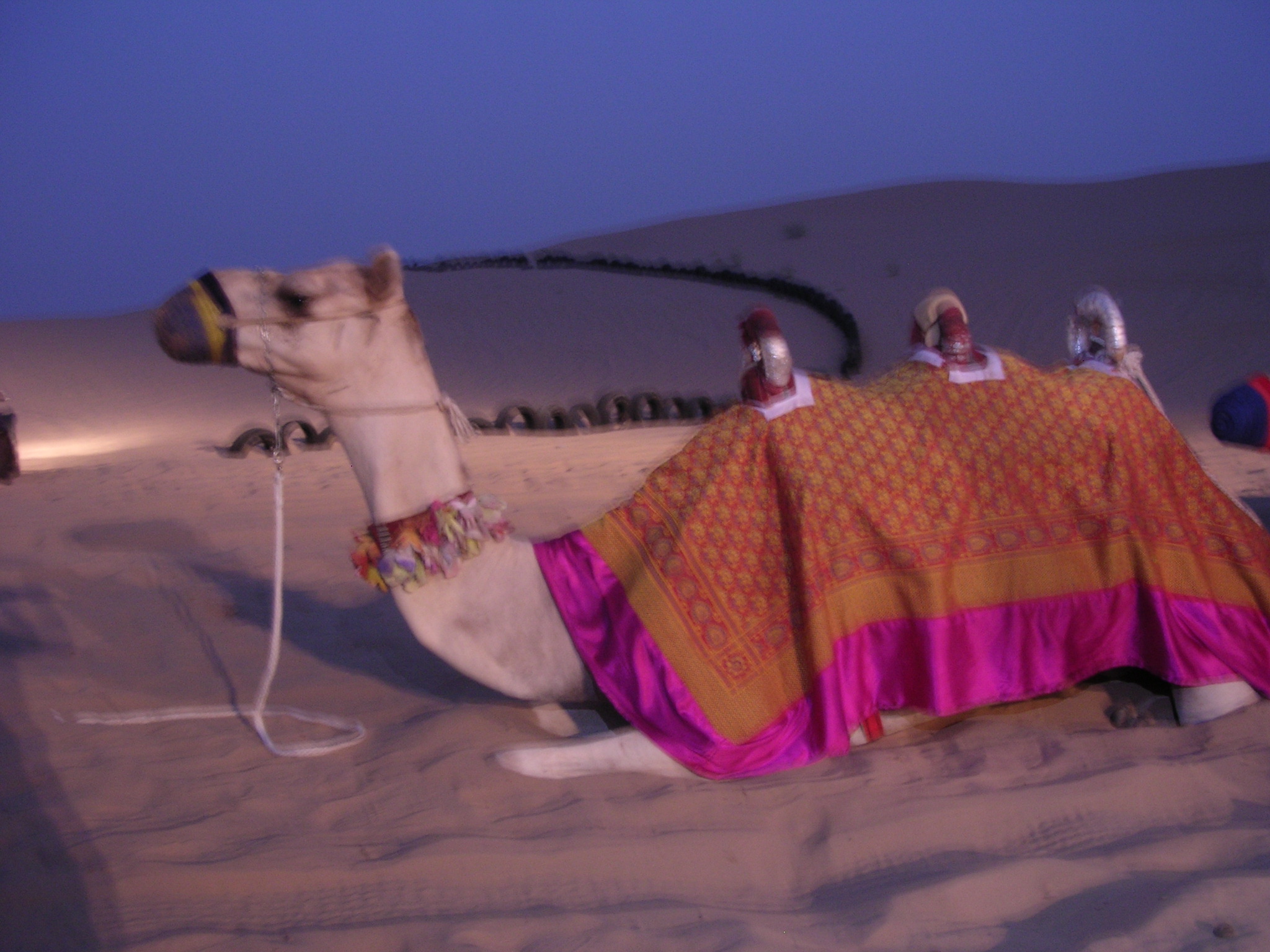 babylove21b's avatar