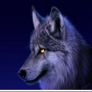 marlobo's avatar
