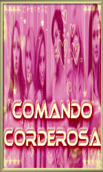 comandocorderosa's avatar