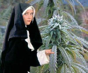 cannabis_nun.jpg
