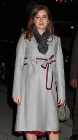 Preppie_-_Amy_Adams_at_the_Late_Show_with_David_Letterman_-_Jan._5_2010_5949.jpg