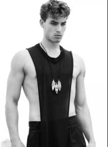 post-20251-0-25238500-1358711215_thumb.j