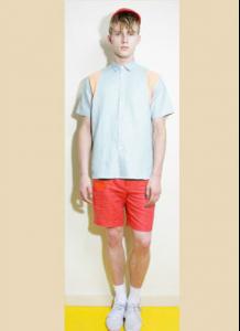 post-20251-0-36704100-1358672934_thumb.j